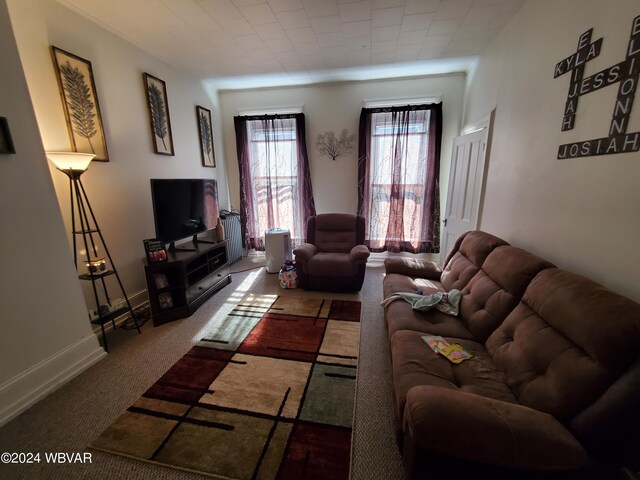 living room with carpet floors