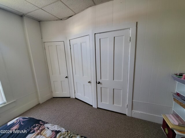 unfurnished bedroom with two closets, a paneled ceiling, and carpet floors