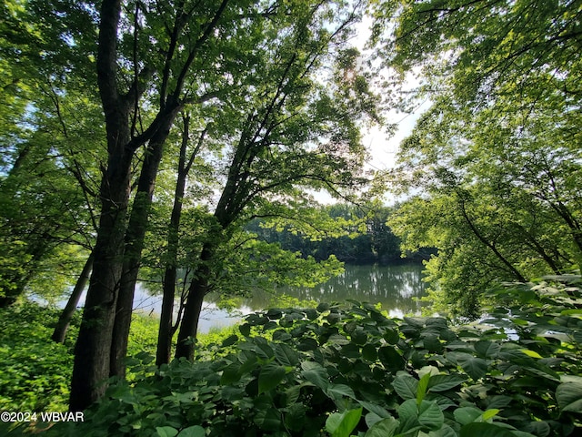 view of landscape featuring a water view