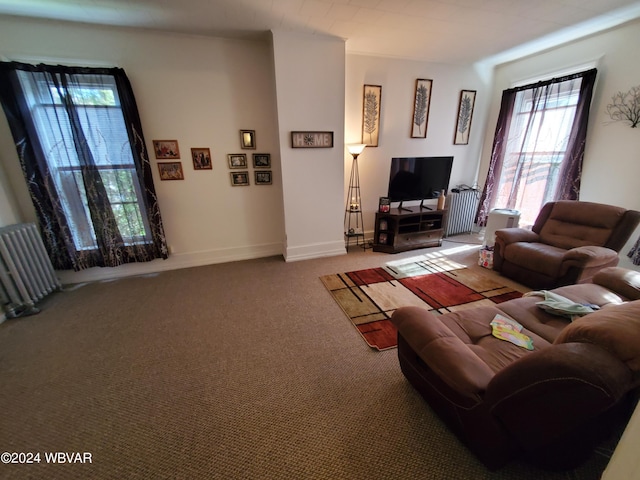 living room featuring carpet floors and radiator