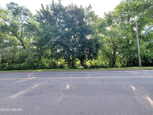 131 N Main St, Jersey Shore, PA 17740 - photo 29