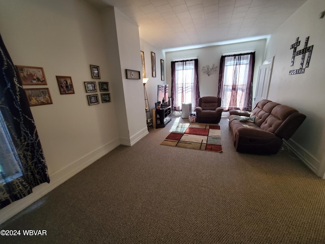 living room with carpet flooring