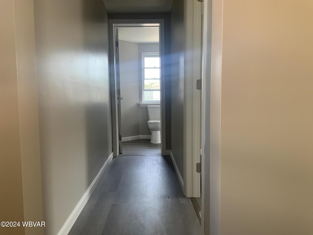 corridor with dark hardwood / wood-style floors