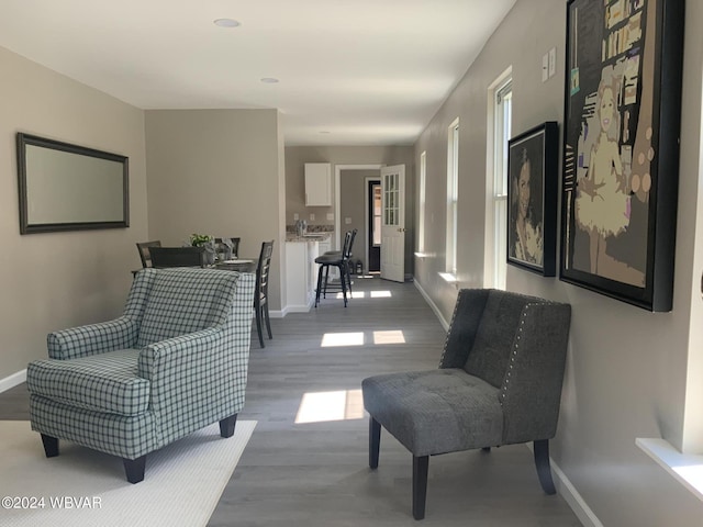 sitting room featuring hardwood / wood-style flooring