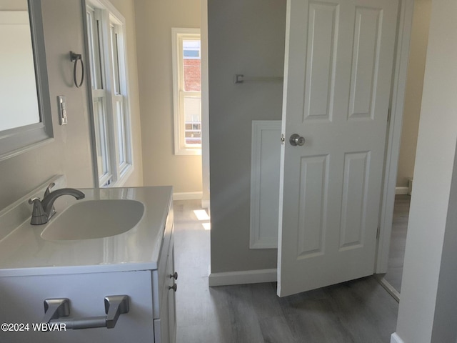 bathroom featuring wood-type flooring and vanity