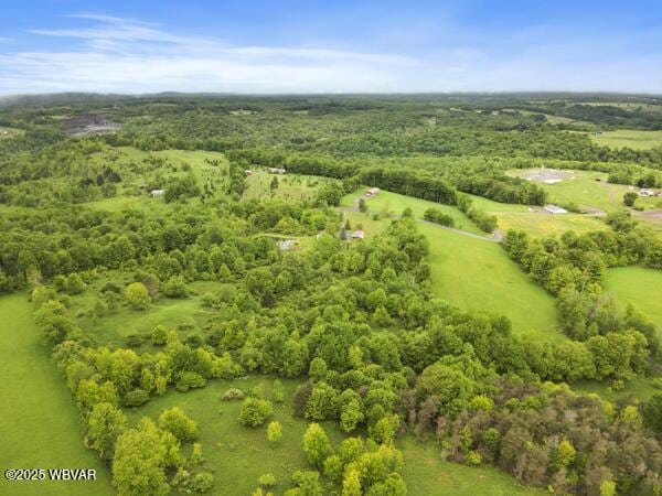 1498 Gainer Hill Rd, Dushore, PA 18614 - aerial view of a forest