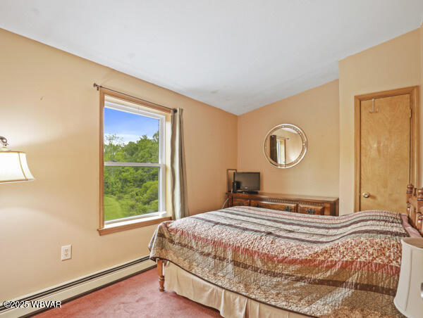1498 Gainer Hill Rd, Dushore, PA 18614 - bedroom featuring a baseboard heating unit and carpet