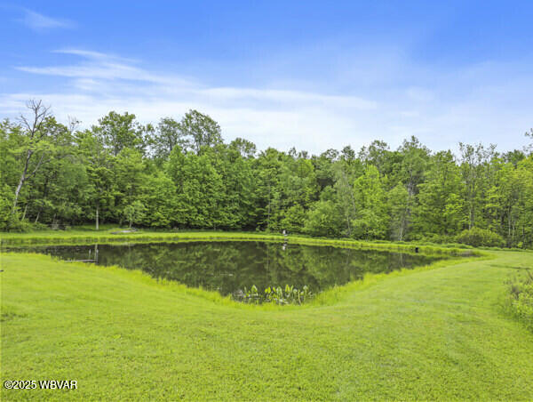 1498 Gainer Hill Rd, Dushore, PA 18614 - surrounding community featuring a water view and a view of trees