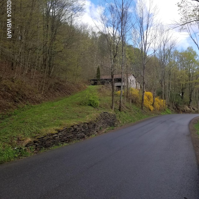 view of road