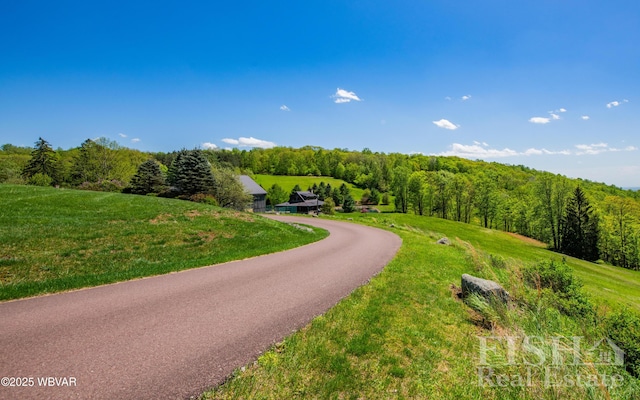 120 Fairview Farm Rd, Muncy Valley, PA 17758 - photo 101