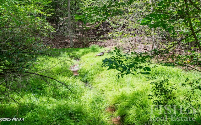 120 Fairview Farm Rd, Muncy Valley, PA 17758 - photo 25