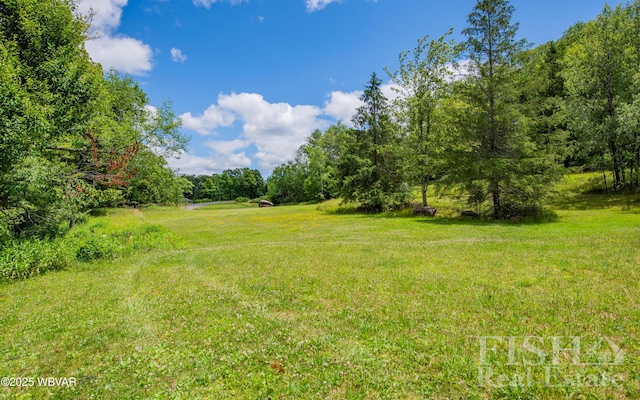 120 Fairview Farm Rd, Muncy Valley, PA 17758 - photo 21
