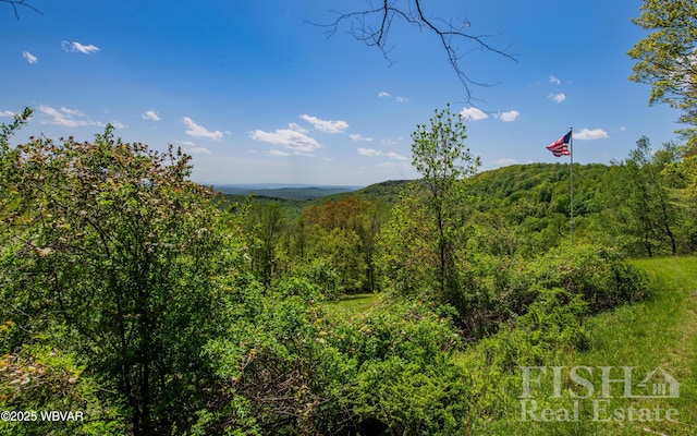 120 Fairview Farm Rd, Muncy Valley, PA 17758 - photo 102
