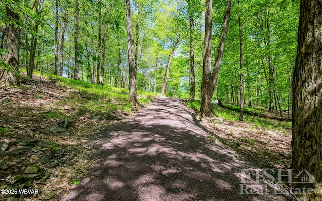 120 Fairview Farm Rd, Muncy Valley, PA 17758 - photo 105