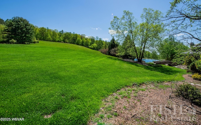 120 Fairview Farm Rd, Muncy Valley, PA 17758 - photo 81