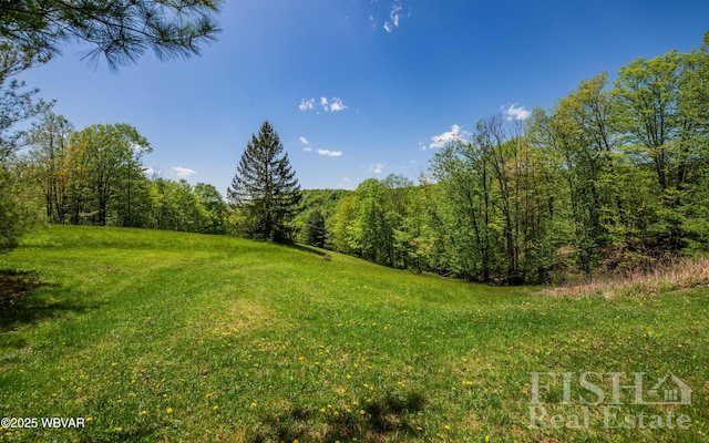 120 Fairview Farm Rd, Muncy Valley, PA 17758 - photo 64