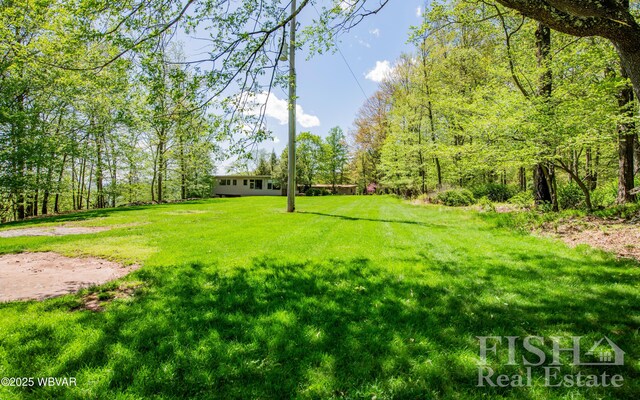 120 Fairview Farm Rd, Muncy Valley, PA 17758 - photo 113