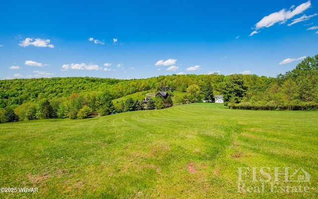 120 Fairview Farm Rd, Muncy Valley, PA 17758 - photo 66