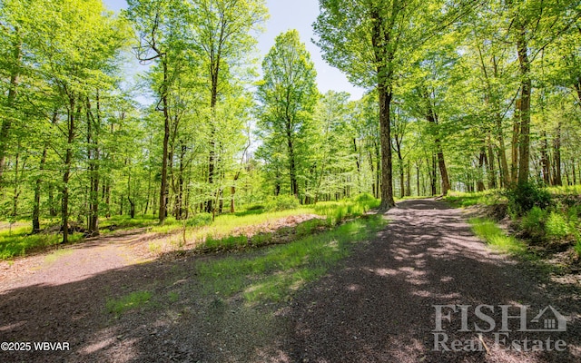 120 Fairview Farm Rd, Muncy Valley, PA 17758 - photo 106