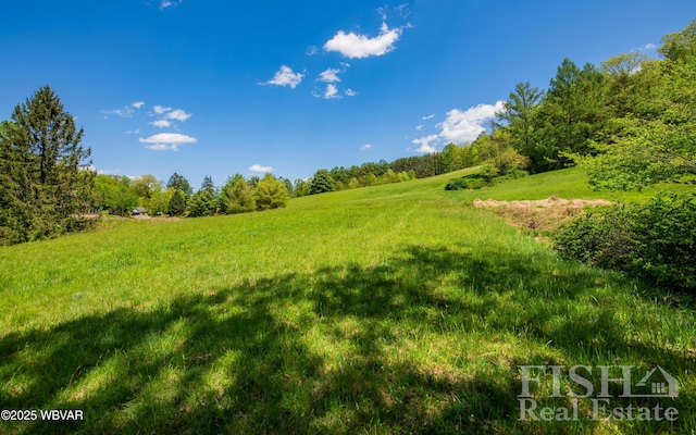 120 Fairview Farm Rd, Muncy Valley, PA 17758 - photo 70