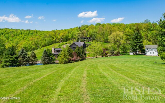 120 Fairview Farm Rd, Muncy Valley, PA 17758 - photo 65