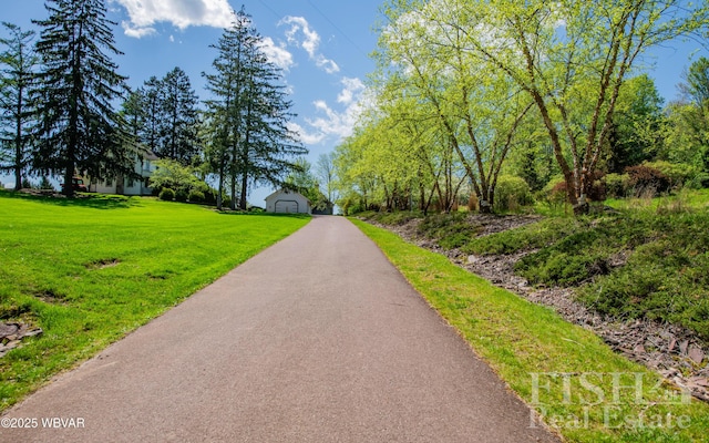 120 Fairview Farm Rd, Muncy Valley, PA 17758 - photo 155