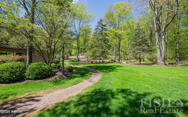 120 Fairview Farm Rd, Muncy Valley, PA 17758 - photo 116