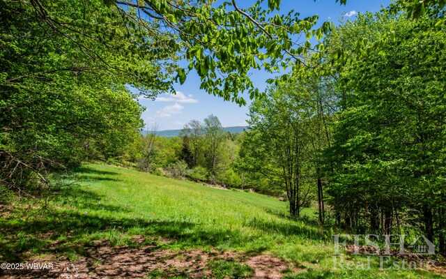 120 Fairview Farm Rd, Muncy Valley, PA 17758 - photo 112