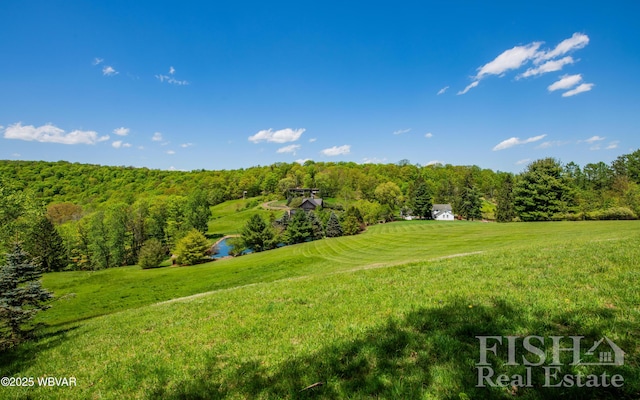120 Fairview Farm Rd, Muncy Valley, PA 17758 - photo 67