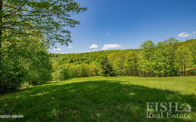 120 Fairview Farm Rd, Muncy Valley, PA 17758 - photo 69