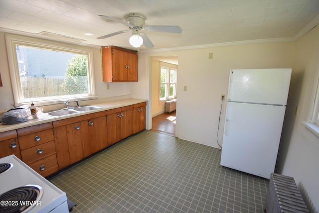 kitchen with radiator heating unit, white appliances, crown molding, sink, and ceiling fan