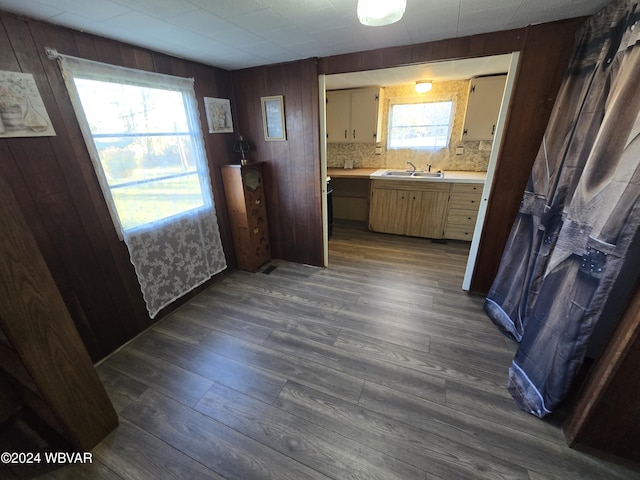 kitchen with a wealth of natural light, wooden walls, and dark hardwood / wood-style floors