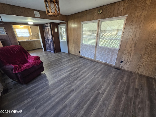 interior space featuring sink, dark wood-type flooring, and wooden walls