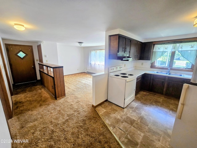 kitchen with dark brown cabinetry, sink, light carpet, electric stove, and a healthy amount of sunlight