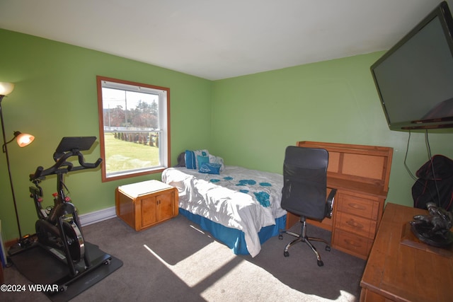 bedroom featuring dark colored carpet