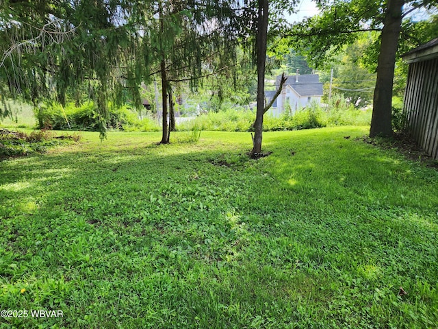 4 Middle Rd, Shunk, PA 17768 - photo 4