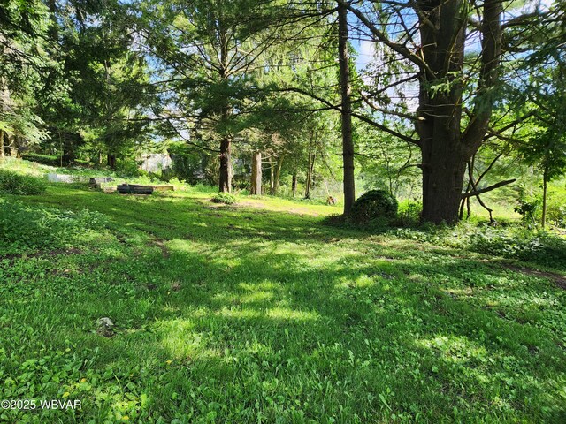 4 Middle Rd, Shunk, PA 17768 - photo 5
