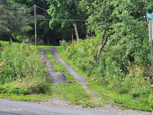4 Middle Rd, Shunk, PA 17768 - photo 2
