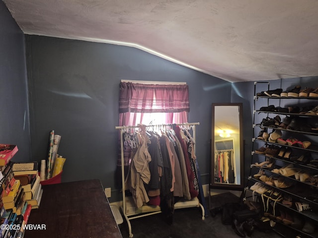 interior space featuring vaulted ceiling and carpet floors