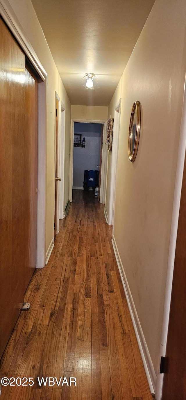 hallway with wood-type flooring