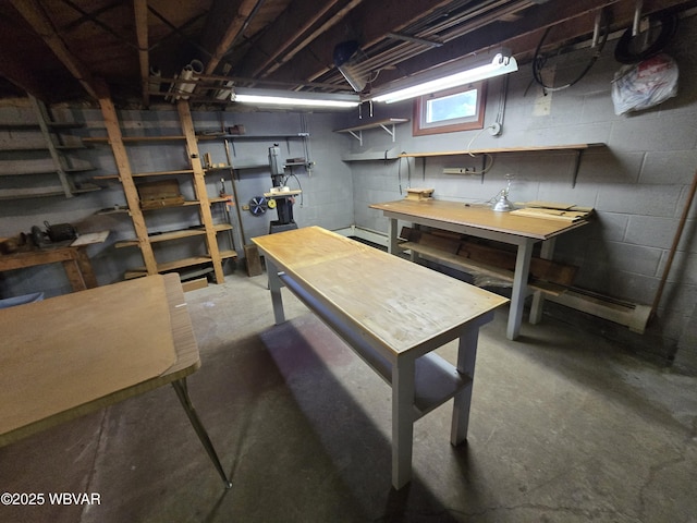 4401 Pine Mountain Rd, Jersey Shore, PA 17740 - basement featuring a workshop area