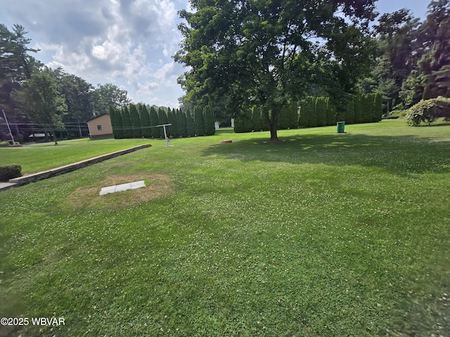 4401 Pine Mountain Rd, Jersey Shore, PA 17740 - view of grassy yard