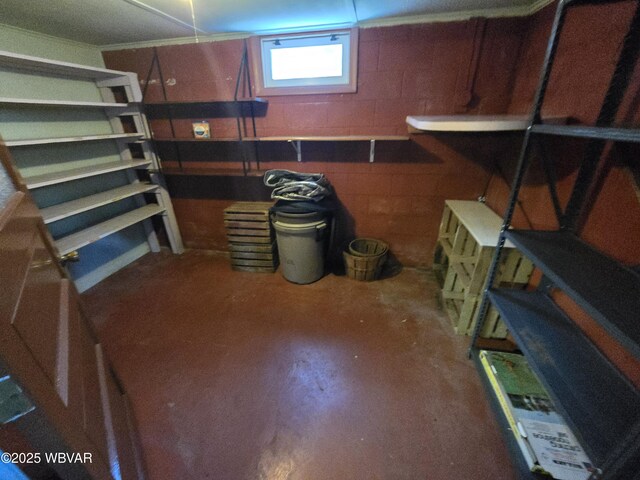 4401 Pine Mountain Rd, Jersey Shore, PA 17740 - view of storage