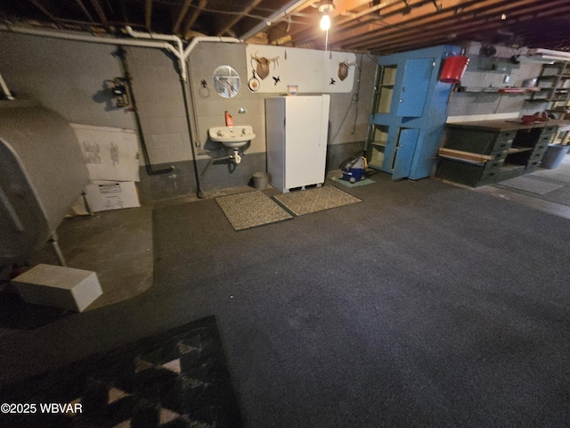 4401 Pine Mountain Rd, Jersey Shore, PA 17740 - unfinished below grade area with freestanding refrigerator