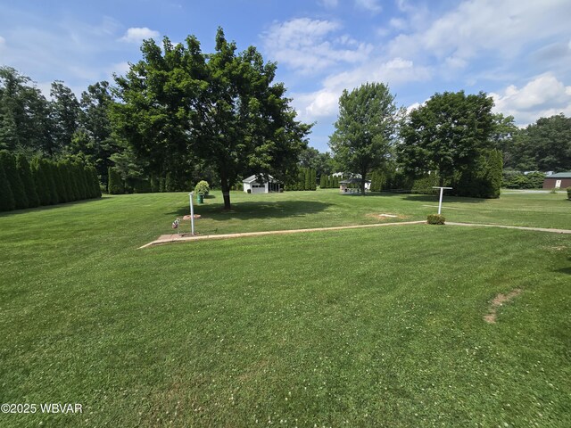 4401 Pine Mountain Rd, Jersey Shore, PA 17740 - view of community featuring a yard and view of scattered trees