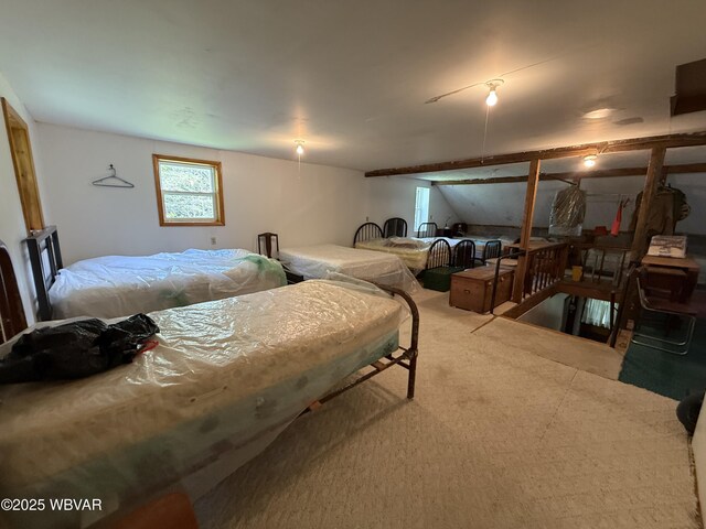11645 Pleasant Stream Rd, Shunk, PA 17768 - photo 23