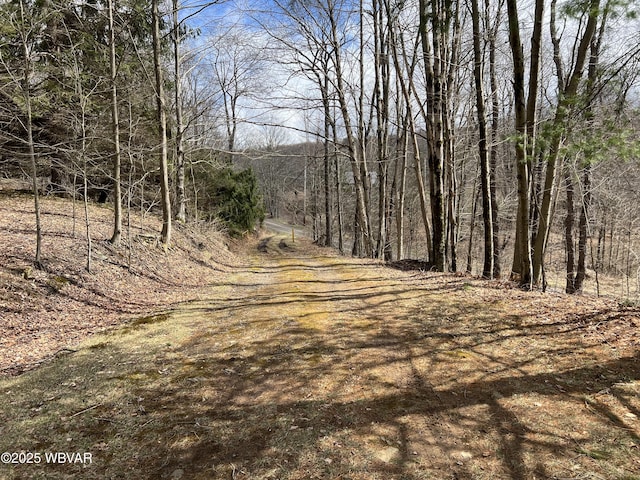11645 Pleasant Stream Rd, Shunk, PA 17768 - photo 26