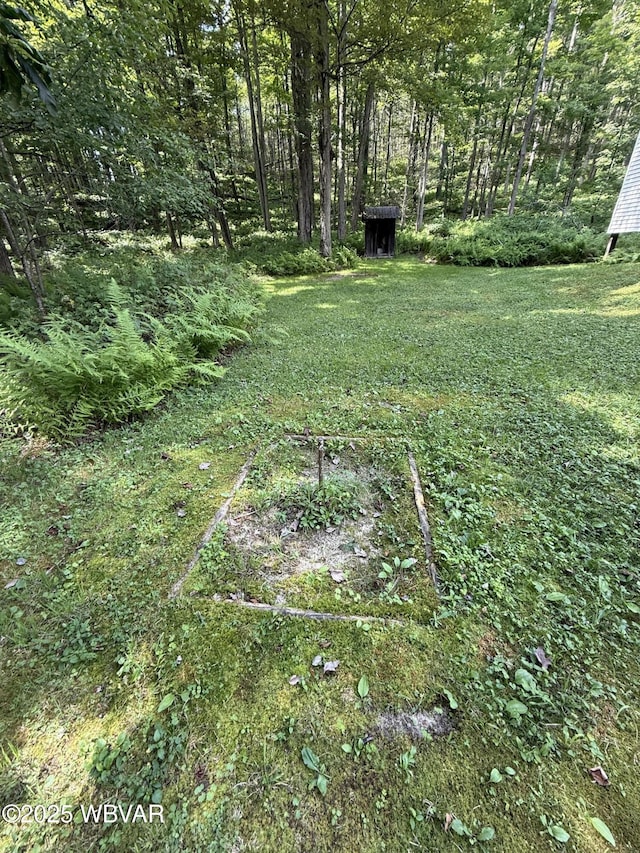 11645 Pleasant Stream Rd, Shunk, PA 17768 - photo 34
