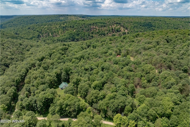 11645 Pleasant Stream Rd, Shunk, PA 17768 - photo 45