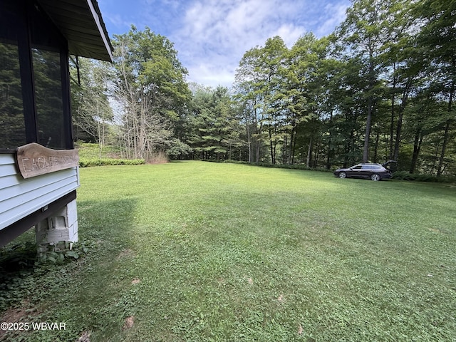 11645 Pleasant Stream Rd, Shunk, PA 17768 - photo 33